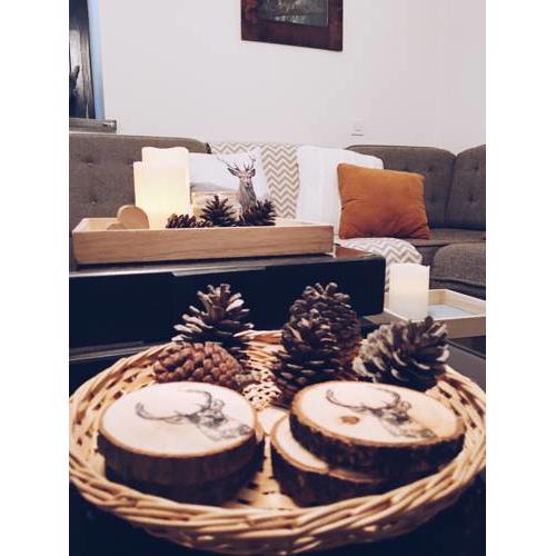 Vintage House Logarska Valley