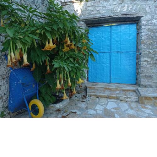 Vintage Mediterranean house