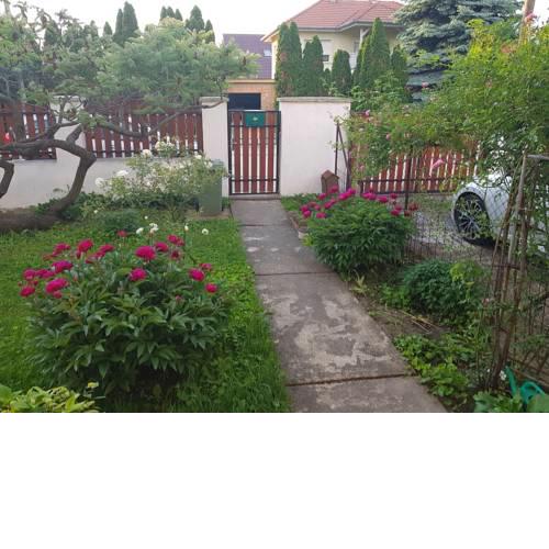 Viola Guesthouse