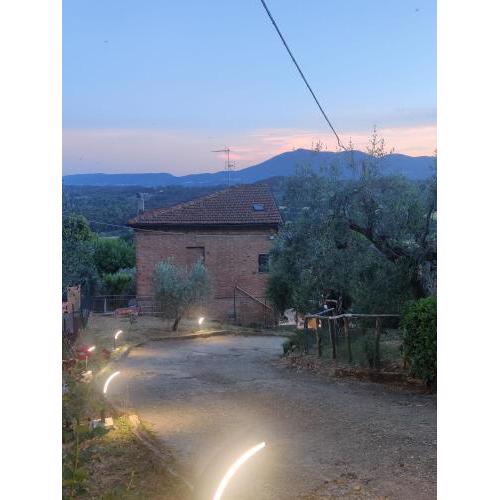 Violella Apartment