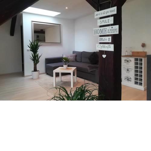VIP Apartment in Old Town