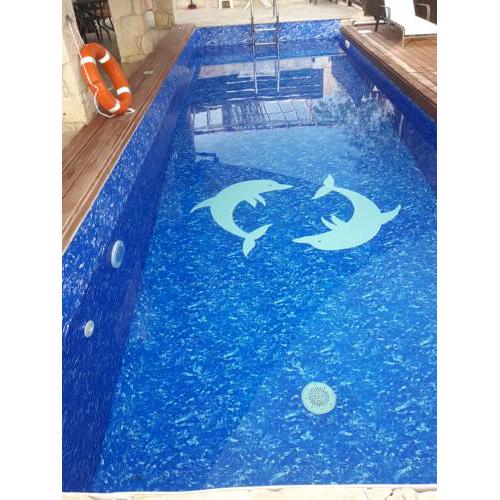 V.I.P Villa
