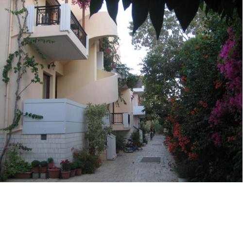 Virginia Studios