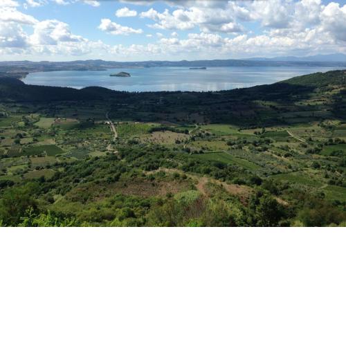 Vista Lago