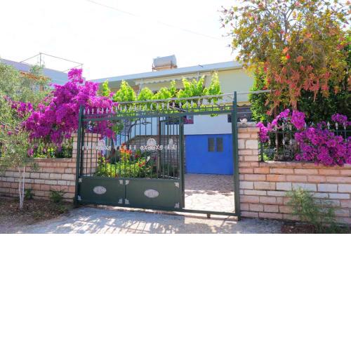 Vita Apartament