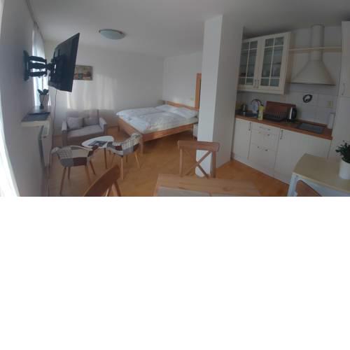Vitkov Park Apartment