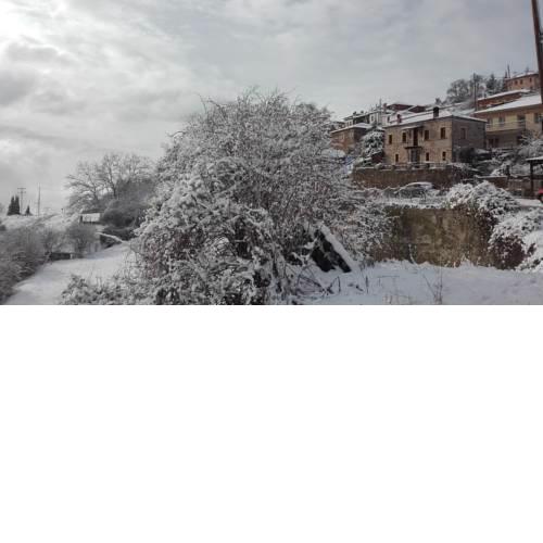 Vitsi Lodge