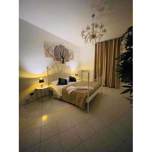 Vitti's Home Verona 2
