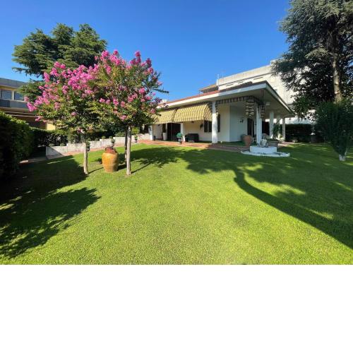 Vitti's Home Verona