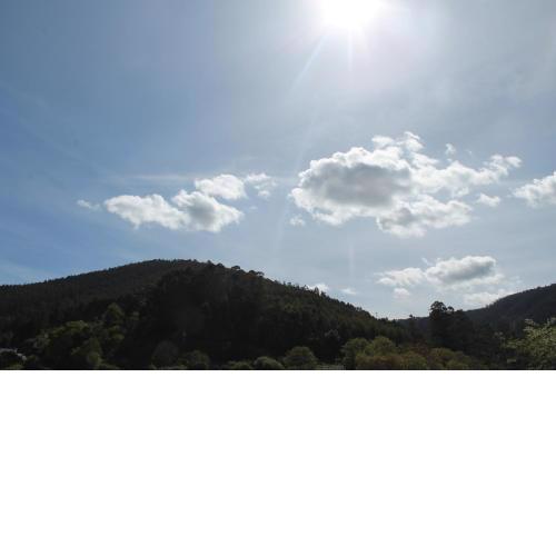 Viveiro