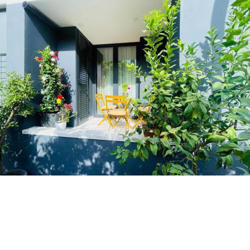 Vlora sweet apartment