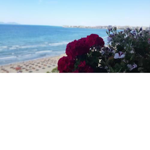 Vlora's by the Sea Apartment