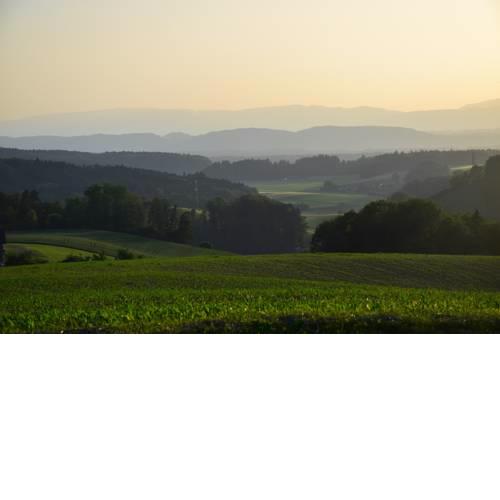 vorderLeggiswil