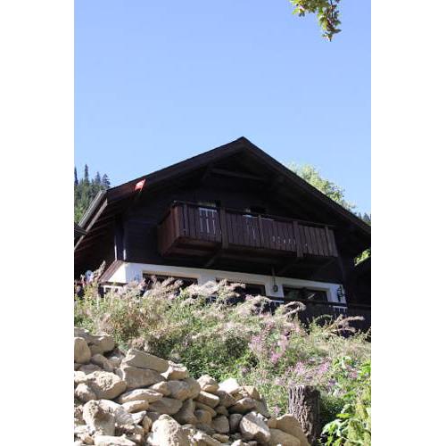 Vrijstaand chalet met prachtig uitzicht