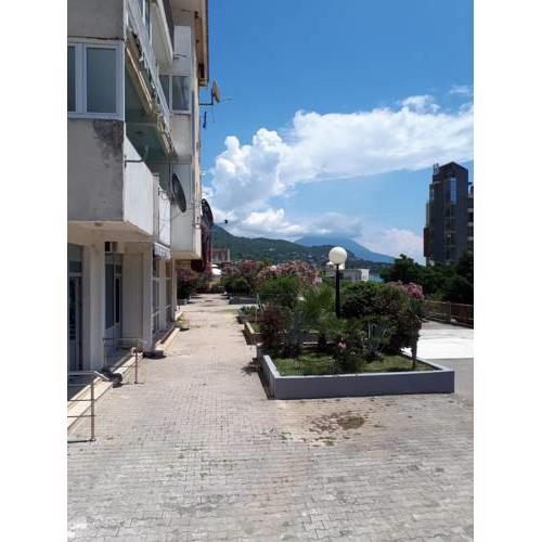 Vuka Karadžića Apartman