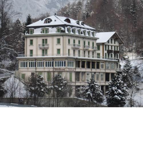 Waldhotel Unspunnen