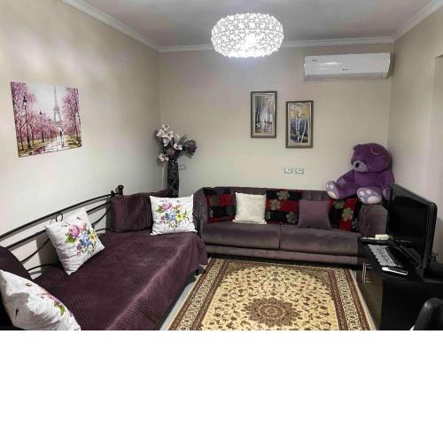Warm apartment in the center of Tirana city