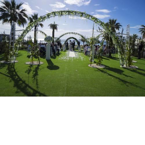 Wedding Miracle
