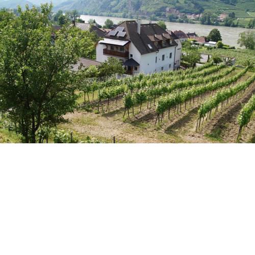 Weinbau und Gästezimmer Pammer