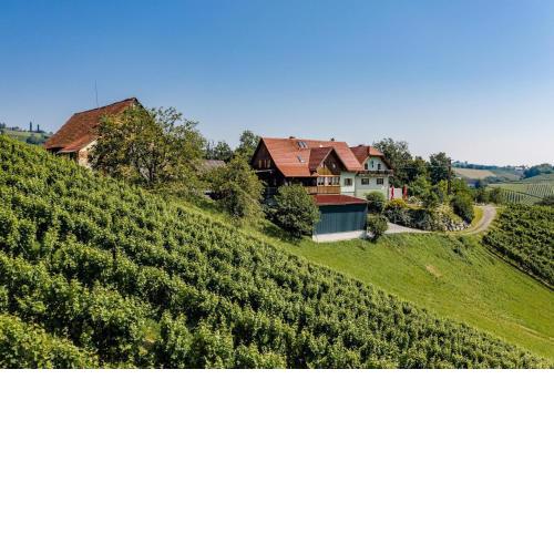 Weingut Juritsch