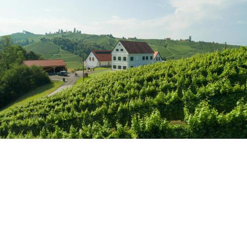 Weinschmiede 18'