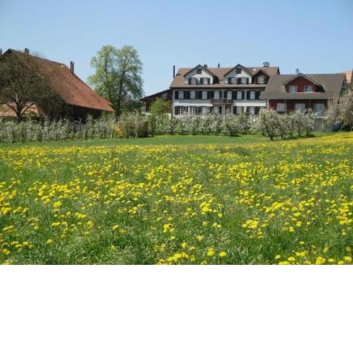 Wellnessfarm in Harmony