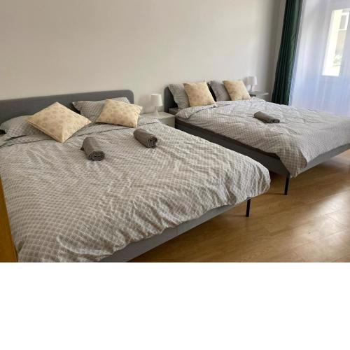 Wenceslas Square 2 Bedroom Apartment