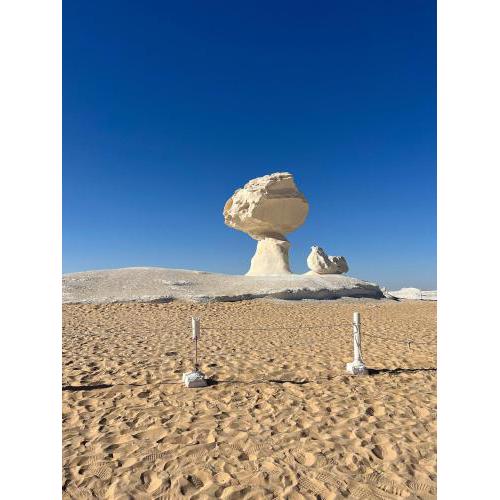 White Desert Safari With Camping