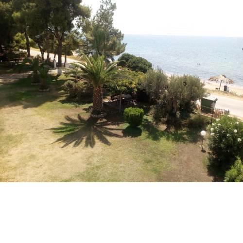 Whole Appartment 50m from sea - Spiros