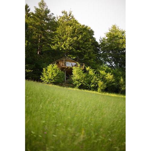 Wild House Donovaly