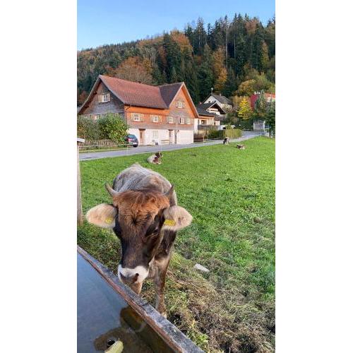 Willkommen im Rustico - Deinem Rückzugsort zwischen Bergen und Bodensee