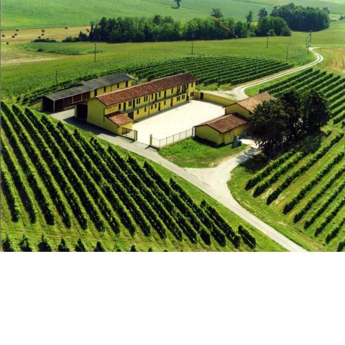 Wine Dreams Holiday Home