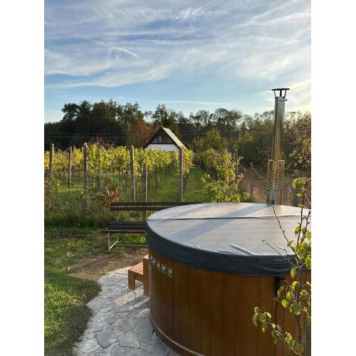 Wine & Relax Mezi Sklepy