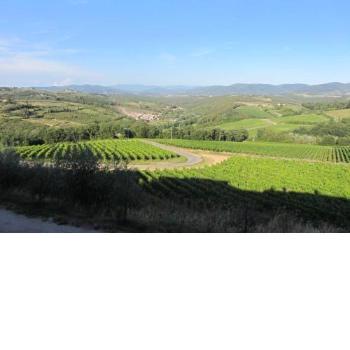 Winery Houses in Chianti