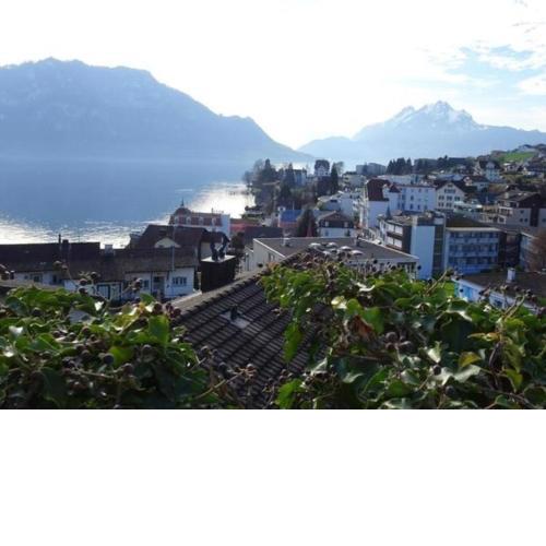 Wohnung mit herrlichem Blick auf den Pilatus