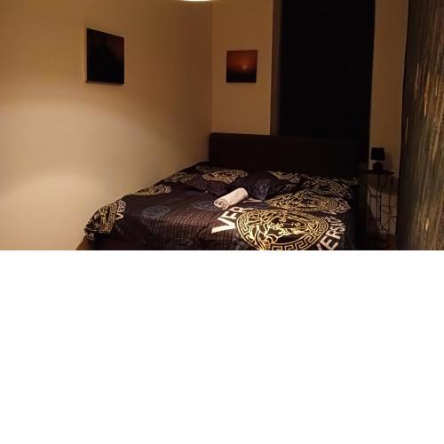 Wonderful 3 BR Apt- in Vienna Perfect for Longstays