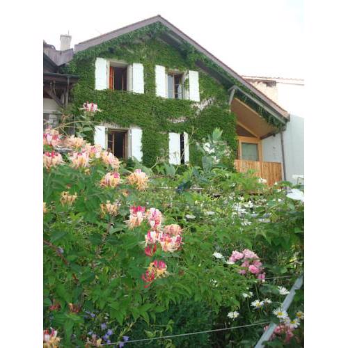 Wonderlandscape Guest House