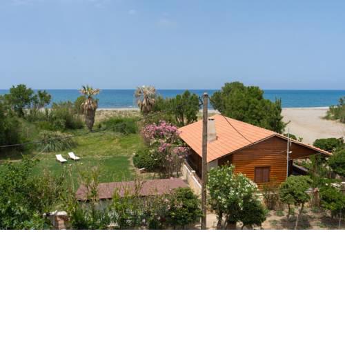 Wooden Beach House