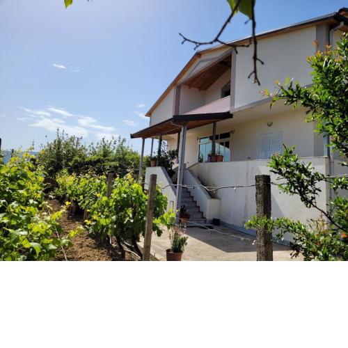 Wooden Guest House