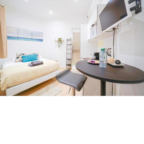 X Well located studio fully renovated in Paris center