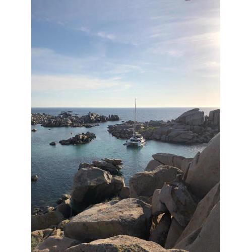 XCAPE catamaran