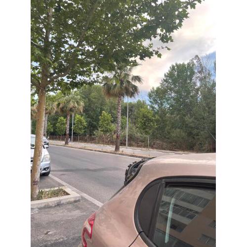 Xheni Apartament