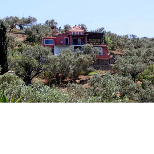 Xintara's Houses