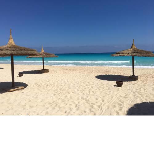 Yahia Blumar North Cost