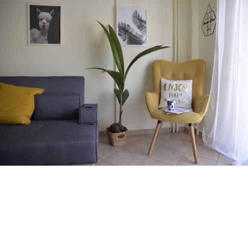Yellow Fresh Apartment-City Center