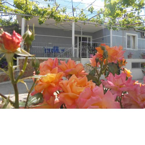 Zaca Apartments