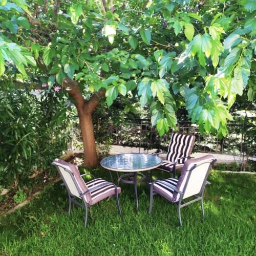 ZACHOS GARDEN