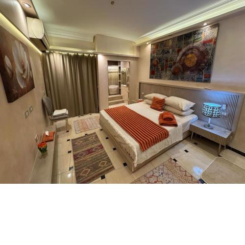 شقة رائعة تتمتع بالخصوصية في الزمالك zamalek luxury flat