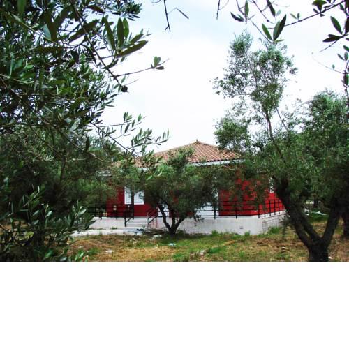 Zante Green View
