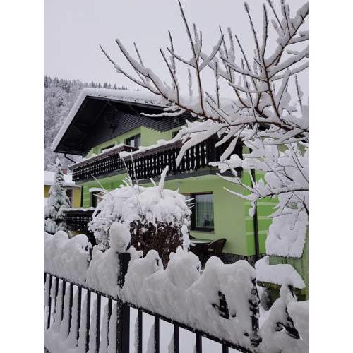 Zeleni apartma Zreče